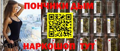 PSILOCYBIN Заводоуковск
