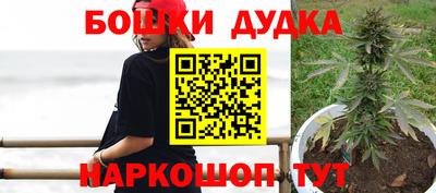 PSILOCYBIN Заводоуковск
