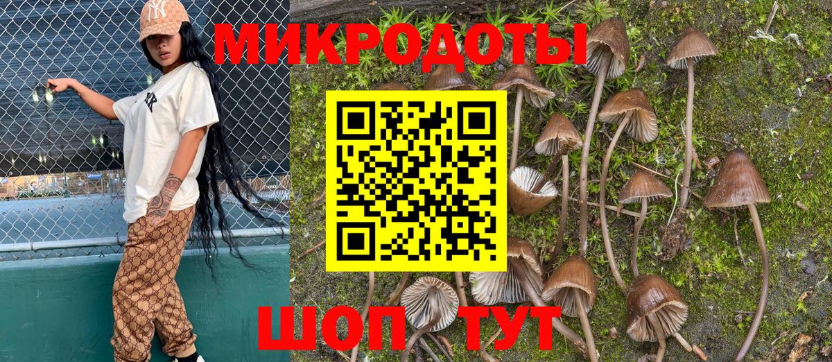 Магнитогорск  Галлюциногенные грибы Magic Shrooms  Вход с VPN  Псилоцибиновые грибы Psilocybine cubensis 